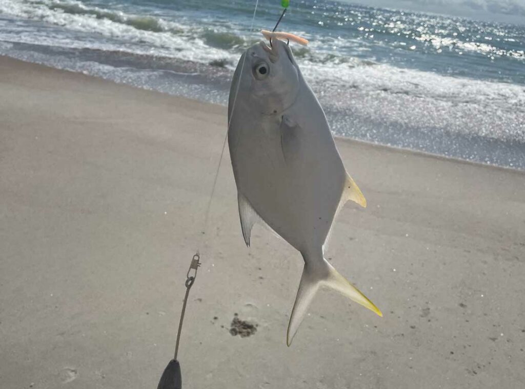 fernadina beach pompano