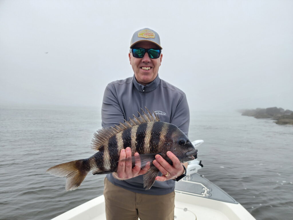 sheepshead