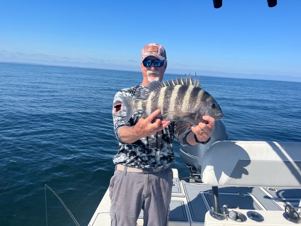 sheepshead