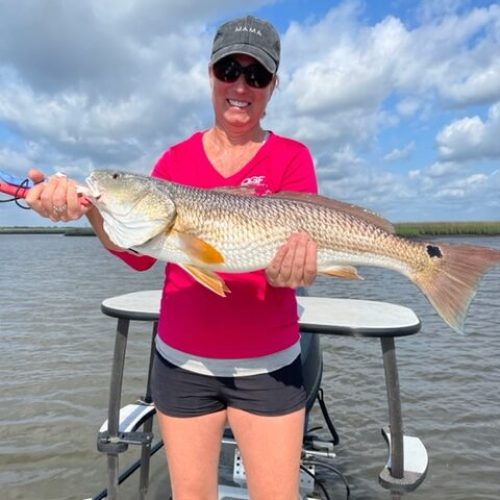 mayport redfish