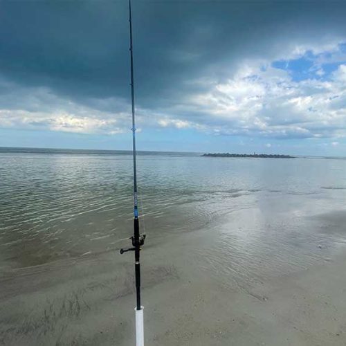 amelia island surf fishing