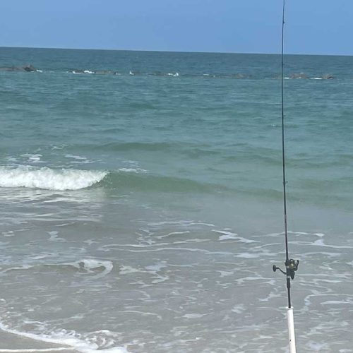 amelia island surf fishing