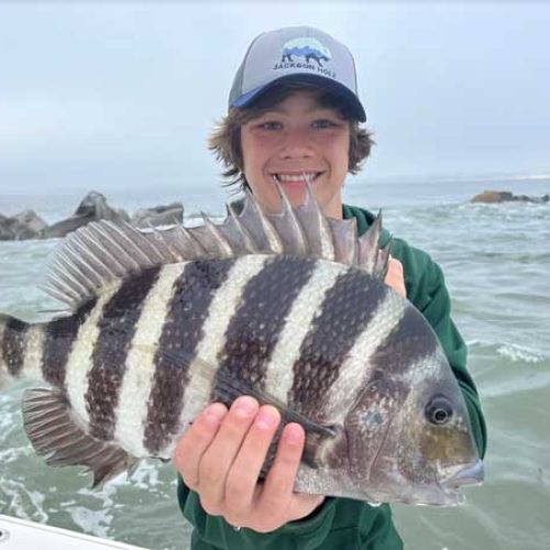 sheepshead