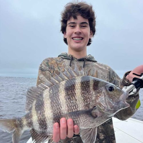 sheepshead