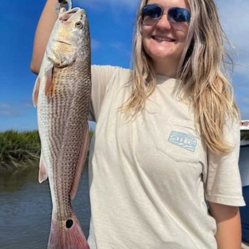 redfish